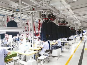 上半年重量級項目齊聚寧波，規上工業爭出新速度，國內一般貿易穩步提升