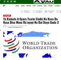 共建更公平、高效、包容的國際經貿新秩序 基于三點共識的改革路徑